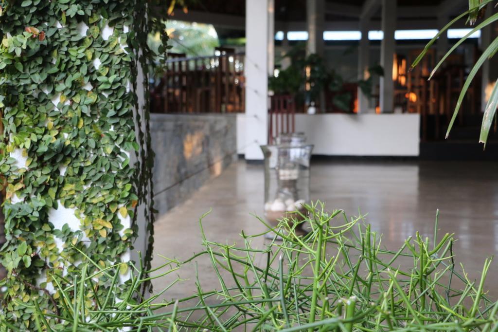 Brook Boutique Hotel Melsiripura Ngoại thất bức ảnh